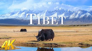 Tibet 4K UHD  Beautiful Nature Scenery With Epic Cinematic Music  Natural Landscape [upl. by Baynebridge]