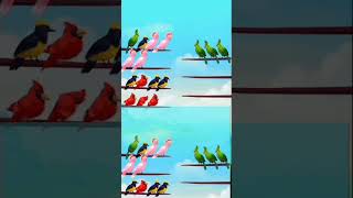 cute birds shortviral vlogs shotcutebirds bhojpurisong ganashortvidtrendingshorts [upl. by Kos]