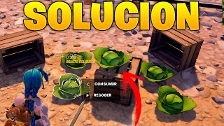 REÚNE REPOLLOS O RECOGE REPOLLOS FORTNITE UBICACION [upl. by Maletta]