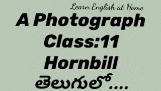 A PHOTOGRAPHClass11CBSEEnglishhornbillncertexplainedintelugu [upl. by Yenar]