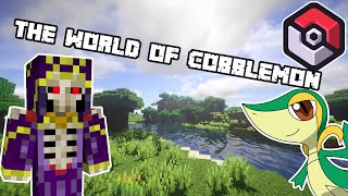 I entered the world of Pokémon in Minecraft… [upl. by Cutler]