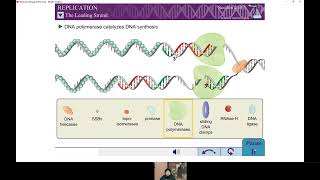 Replicación del ADN y sus Generalidades  BioquímicaBiología [upl. by Sleinad]