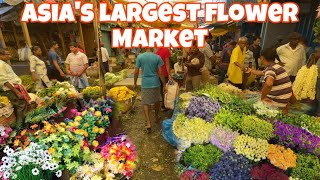 Flower Market Kolkata  Mallick Ghat flower Market Howrah  Asias largest flower Market [upl. by Zink15]