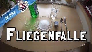 Beste Fliegenfalle in 2 Minuten selber bauen  Life Hack [upl. by Philbo853]