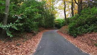 Basingstoke Canal  Frimley  Deepcut  Pirbright Surrey  2024 [upl. by Harpp784]