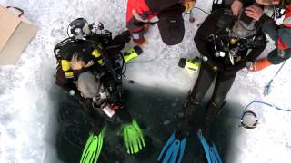 Ice Diving in Antarctica [upl. by Quincy]