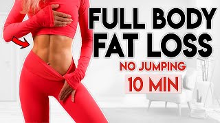 FULL BODY Fat Loss get results  no jumping  10 minute Workout [upl. by Verena]