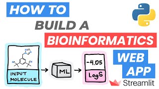 Building a Bioinformatics Web App in Python  Streamlit 7 [upl. by Ciprian]