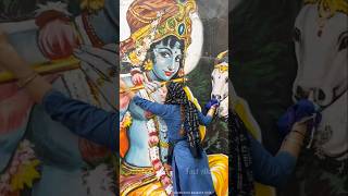 Miracle Devotee Krishna shortsvideo [upl. by Esila]