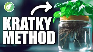 Getting Started with Kratky Hydroponics Easy DIY Setup Guide [upl. by Leo917]