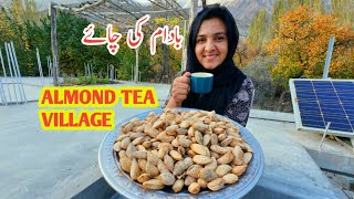 Almond Tea  Daily Lifestyle Vlog  Village  Vlogs New Video [upl. by Lihp]