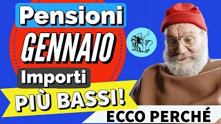 PENSIONI GENNAIO 2024 👉 IMPORTO PIÙ BASSO sul CEDOLINO❓ Ecco perché [upl. by Rabka]