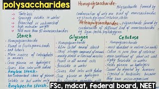 polysaccharides  polysaccharides class 11  polysaccharides structure and function [upl. by Ellerud976]