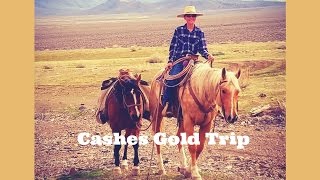 Clint Weaver Horsemanship  Cashes Gold Trip quotStetsonquot  Gelding for sale [upl. by Irat439]