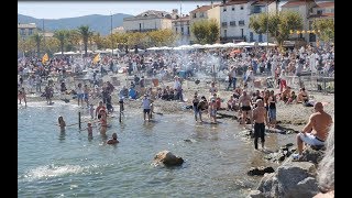 Fête des Vendanges 2017 à Banyulssurmer [upl. by Anaylil125]