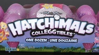 Hatchimals Colleggtibles Season One 12Pack Egg Carton from Spin Master [upl. by Nylqcaj745]