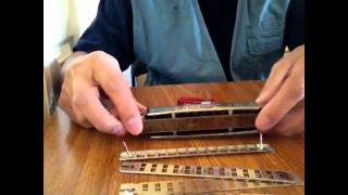 Cleaning Chromatic Harmonica  disassembly [upl. by Lleirbag]