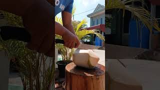 🔪🌴🥥best stainless knife for slicing coconut coconut Skills knife [upl. by Eitsyrc]