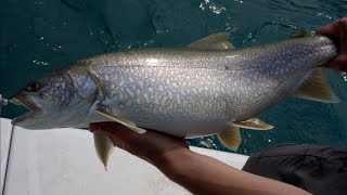 Kananaskis Mountain Lake Trout Fishing [upl. by Stone826]