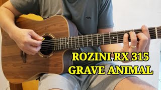 ROZINI RX 315 REVIEW [upl. by Nossaj572]