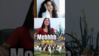 Goat🐐 sound Edi ekkadi Talent madam Rukmini Garu 🤣🤣 telugucomedy rukminivasanth telugumems [upl. by Annwahs]