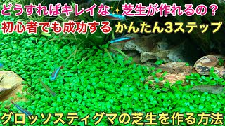 初心者でも分かりやすい！水草水槽の前景を草原にする方法「グロッソスティグマで芝生を作る方法」アクアリウムノウハウ How to grow glossostigma in aquarium [upl. by Kirkpatrick658]