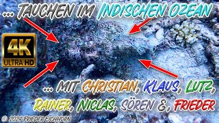 Tauchen im Indischen Ozean 🦀 🐠 🐟 [upl. by Denn]