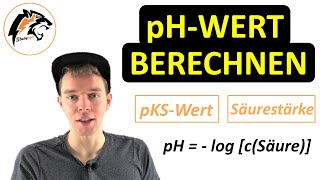 pHWert berechnen inkl pOHWert  Chemie Tutorial [upl. by Adnahsar313]