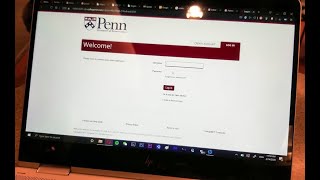 UPenn Decision REACTION [upl. by Ahsyekal874]