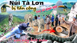 Du Lịch Campuchia Cả đoàn gặp nạn khi vào sâu trong rừng Núi Tà Lơn nơi thú dữ rình rập [upl. by Norramic]