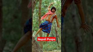 Durgedh Thapa New Song janti durgeshthapa pushpa newsong [upl. by Palladin74]