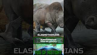 Elasmotherium  Siberian unicorn  FOG OF HISTORY history science paleontology [upl. by Eelorac997]