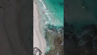 Why Do You Think Trigg Beach Is the Best in Perth 🏄‍♀️ welcometoperth shorts wa trigg [upl. by Lansing225]