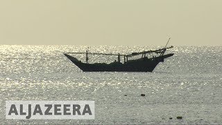 Oman Traditional dhow boats under threat in the Gulf 🇴🇲 [upl. by Ameekahs]