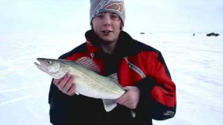 Walleye fishing on the Red River and Lake Winnipeg [upl. by Ellennej]