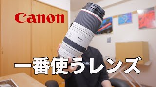 【RF100500mm F4571 L IS USM】キヤノンで一番使うレンズをご紹介します [upl. by Dleifrag]