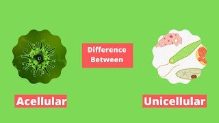 Difference Between Acellular and Unicellular [upl. by Suraved918]