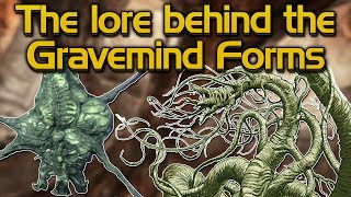 The Lore behind the Flood Gravemind forms [upl. by Farhsa]