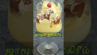 🍨ice cream🍦jamun ice cream recipe in tamil  ice cream gulab jamun home made  summer special [upl. by Ellenaj]