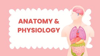 Anatomy amp Physiology [upl. by Frasco636]