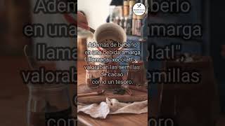 ✅ DATO CURIOSO SOBRE LOS ALIMENTOS 8 Chocolate De Moneda Sagrada a Placer Mundial 🍫 [upl. by Naillimixam]