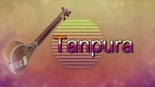 1 Hour Tanpura for Vocal Singing Practice  Meditation Music  Everyday Track For All [upl. by Anigal]