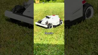 Do Robot Mowers Actually Work [upl. by Odella]