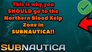 Why you SHOULD go to the Northern Blood Kelp Zone But Be Careful subnautica subnauticagame [upl. by Oirram]