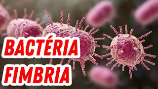 Fimbria Bacteriana Como Elas se Prendem e Causam Infecçõesquot [upl. by Athene]