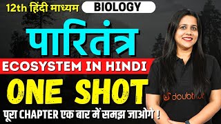 Class 12 Biology  पारितंत्र One Shot  Ecosystem Full Chapter in Hindi  All Boards By Vijaita Mam [upl. by Ravaj]