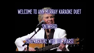 Anne Murray Snowbird Karaoke Duet [upl. by Ruddie997]