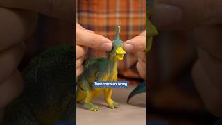 Tsintaosaurus used Confusion It was Super Effective dinosaur dinosaurs education toys science [upl. by Repsihw]