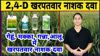 2 4 D खरपतवार नाशक दवा  2 4 d Tan nashak  Gehu me kharpatwar nashak dawa  Wheat herbicide [upl. by Husein338]