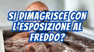 Si DIMAGRISCE con lesposizione al FREDDO [upl. by Lamee]